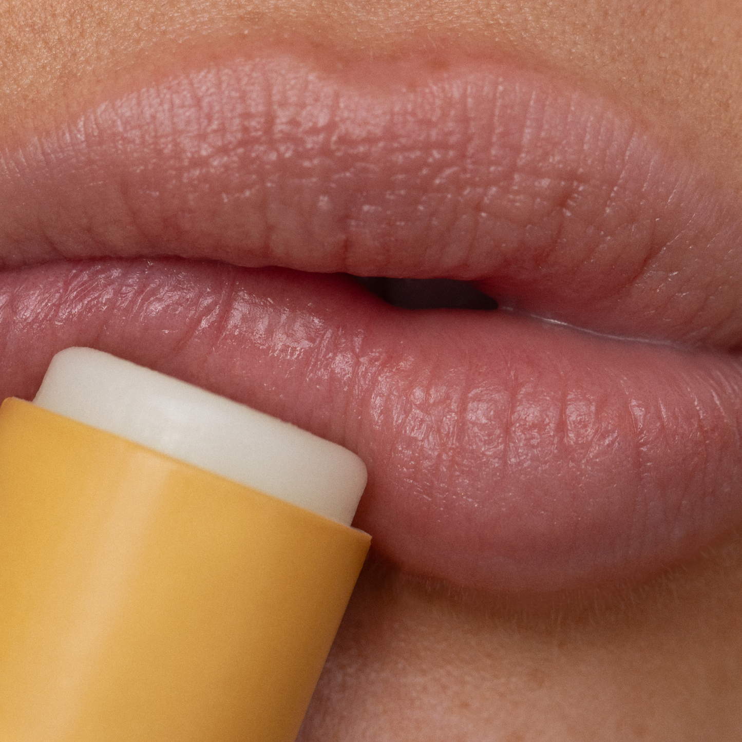 Poppy and Pout Lip Balm, Lemon Bloom