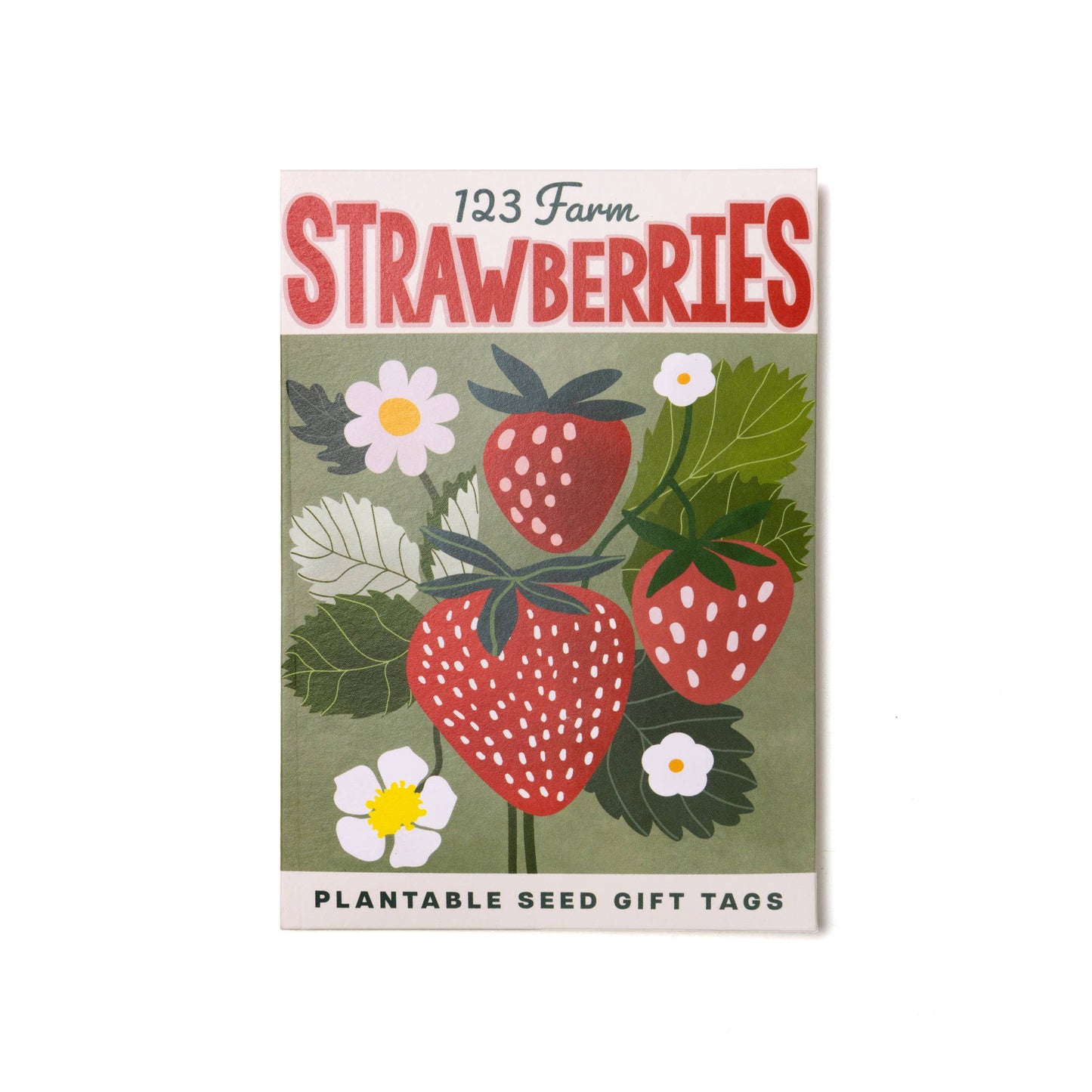Plantable Seed Gift Tags - Vintage Seed Design, 5 Gift Tags: Daisies